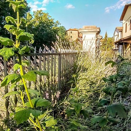 Villa Elvira Ambra Εξωτερικό φωτογραφία