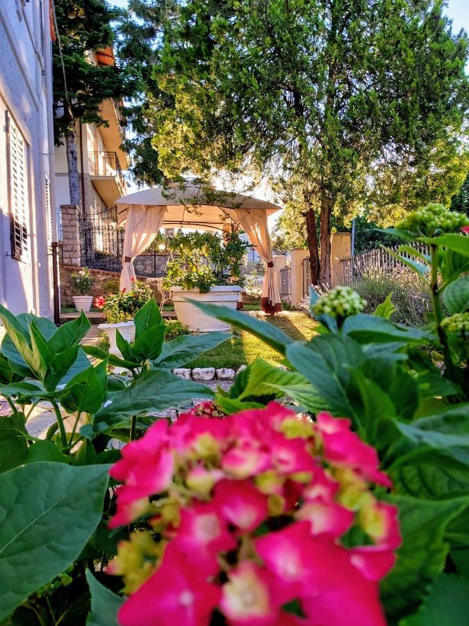Villa Elvira Ambra Εξωτερικό φωτογραφία