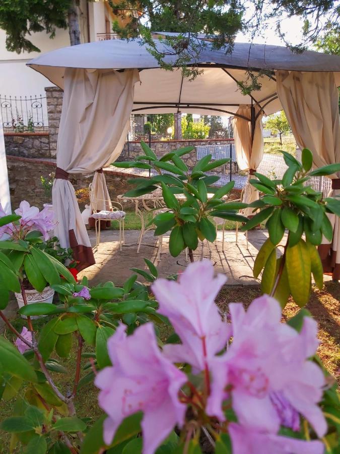 Villa Elvira Ambra Εξωτερικό φωτογραφία