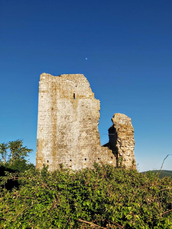 Villa Elvira Ambra Εξωτερικό φωτογραφία