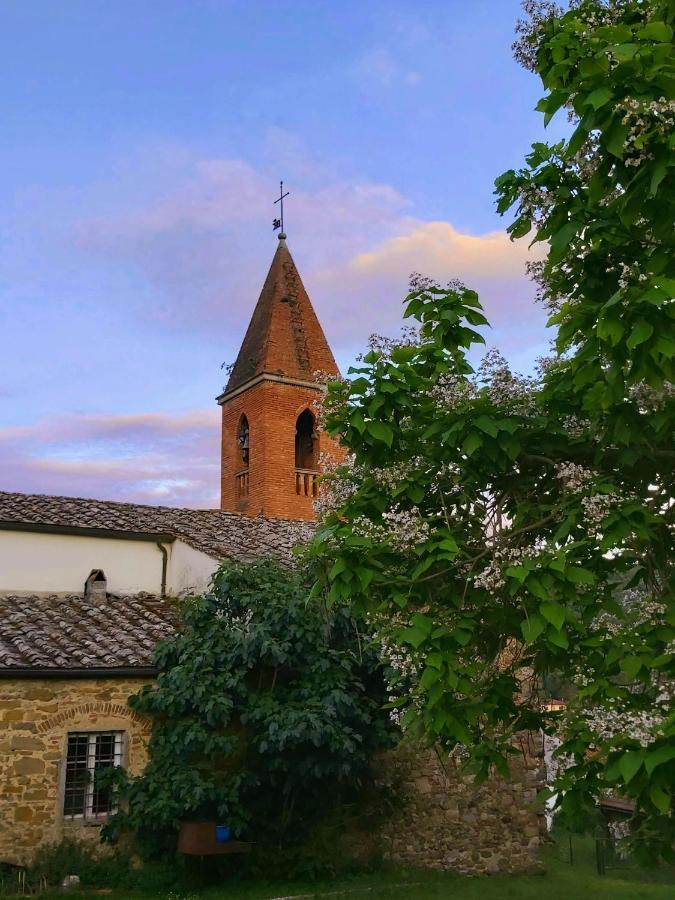 Villa Elvira Ambra Εξωτερικό φωτογραφία