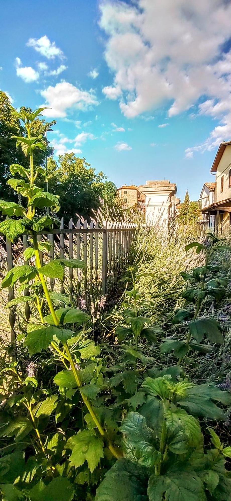 Villa Elvira Ambra Εξωτερικό φωτογραφία