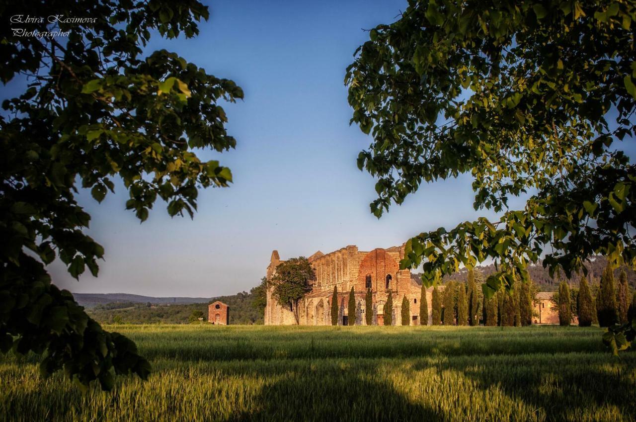 Villa Elvira Ambra Εξωτερικό φωτογραφία