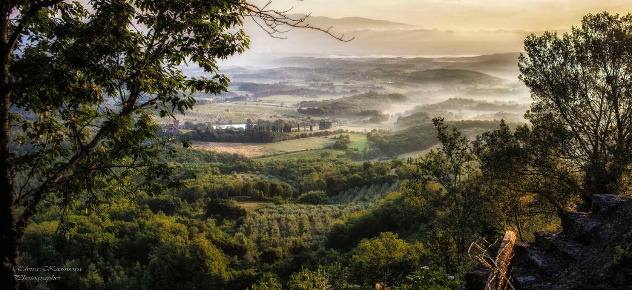 Villa Elvira Ambra Εξωτερικό φωτογραφία